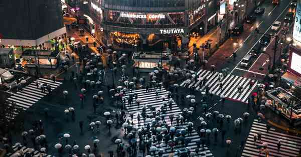 属蛇2025年7月9日运势,属蛇人2025年7月9日财运,生肖蛇2025年7月9日运势